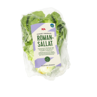 Illustration av Romansallad
