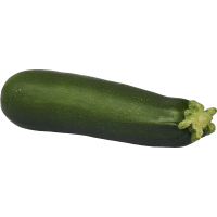 Illustration av Zucchini styck