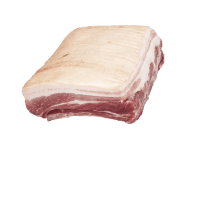 Illustration av Ribbe med ben delad