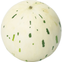 Illustration av Melon Snowball