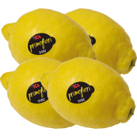 Illustration av Citroner