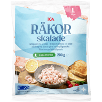 Illustration av Stora skalade räkor