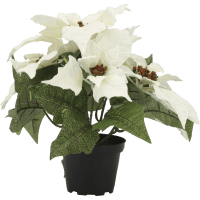 Illustration av Julstjärna i kruka Vit 35cm Konstväxt 1-p