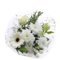 Illustration av Buk Allahelgon m