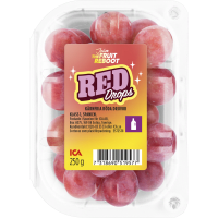 Illustration av Röda Druvor kf