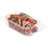 Illustration av Småtomater kvist