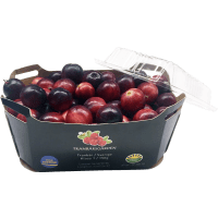 Illustration av Tranbär