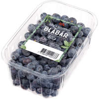 Illustration av Blåbär
