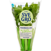 Illustration av Basilika thai KRAV