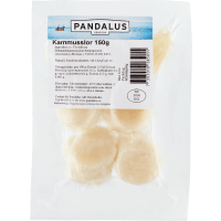 Illustration av Kammusslor