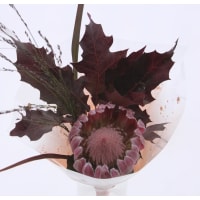 Illustration av Bukett