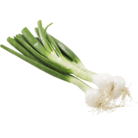 Illustration av Lök gul knippe