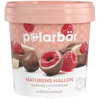 Illustration av Hallon i vit choklad