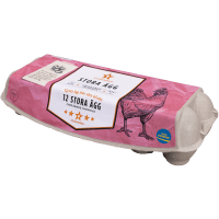 Illustration av 12-pack frig L