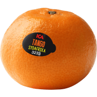 Illustration av Småcitrus Tango