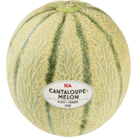 Illustration av Cantaloupemelon ca 1500g Klass 1