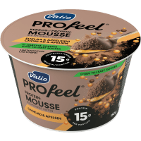 Illustration av Proteinmousse choklad/apelsin
