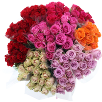 Illustration av Rosor 40 cm