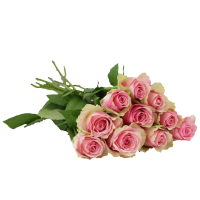 Illustration av Rosor 10-Pack