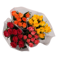 Illustration av Rosor 12-pack