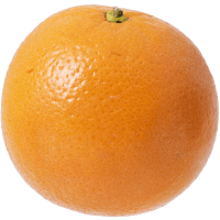 Illustration av Apelsin.