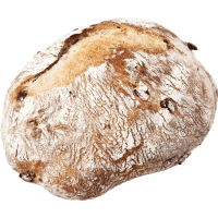 Illustration av Gourmet Tranbär