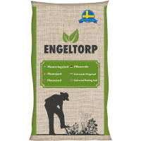 Illustration av Plantjord