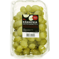 Illustration av Druva grön kärnfri