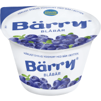 Illustration av Bärry