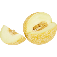 Illustration av Galia melon