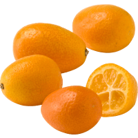 Illustration av Kumquat