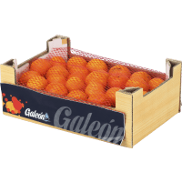 Illustration av Clementin Klass 1 ICA