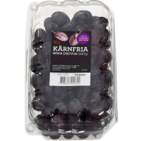 Illustration av Röda druvor i ask