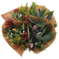 Illustration av Tulpaner