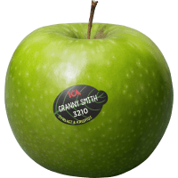 Illustration av Äpple Granny