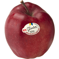 Illustration av Äpp Gloster