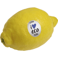 Illustration av Citron eko ca 100g Klass 1 ICA