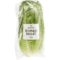 Illustration av Romansallad