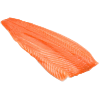 Illustration av Färsk laxfilé från fiskdisken