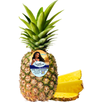 Illustration av Ananas jumbo