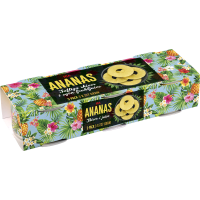 Illustration av Ananas Skivor