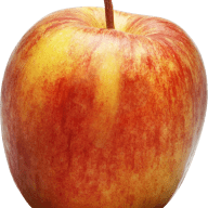 Ett äpple med skaft på vit bakgrund.