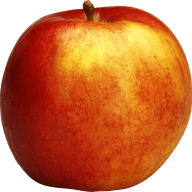 Ett äpple med ett skaft och en rund form.