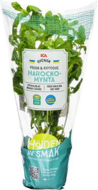 En plastförpackning med färsk mynta från ICA innehåller gröna blad och har en etikett med produktinformation.