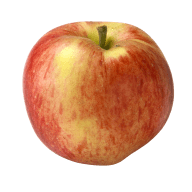 Ett äpple med en stjälk.