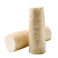 Två cylindriska bitar av daikon-rättika ligger på en vit bakgrund.