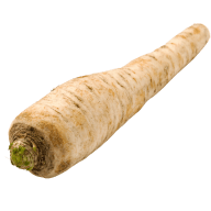 En parsnippa ligger på en vit bakgrund.