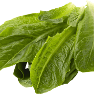 Romansallad