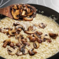 Svamp i en risotto.