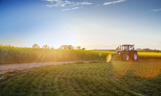 Traktor på ett fält